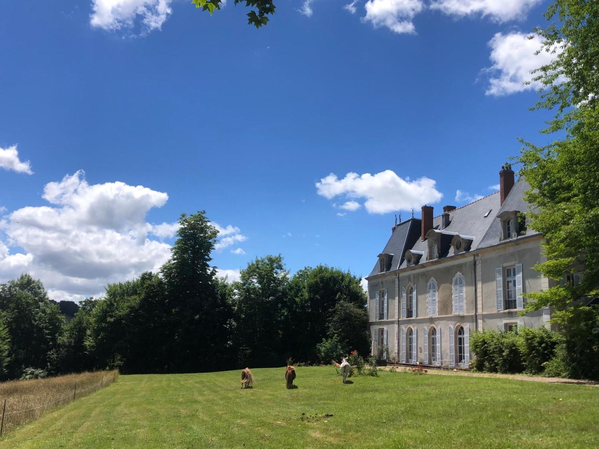 Chateau De Vaux Morvan Etang-sur-Arroux Экстерьер фото